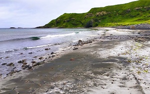 Андрей Масалович