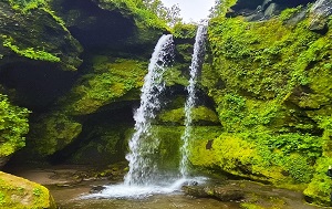 Андрей Масалович