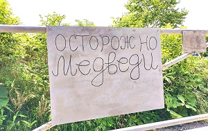 Андрей Масалович