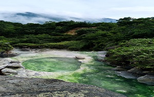 Андрей Масалович