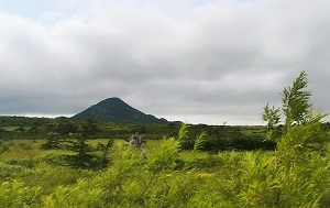 Андрей Масалович