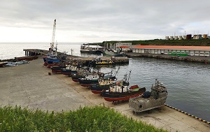 Андрей Масалович