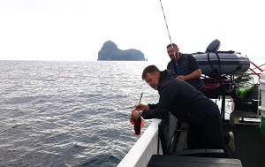 Андрей Масалович