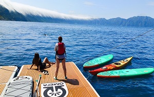 Андрей Масалович