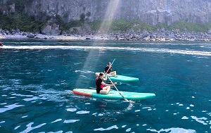 Андрей Масалович