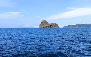 Андрей Масалович