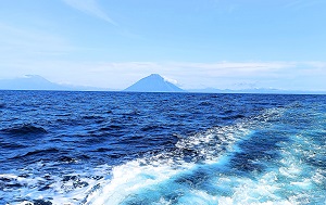 Андрей Масалович