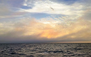 Андрей Масалович