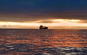 Андрей Масалович