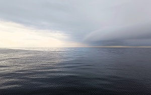 Андрей Масалович