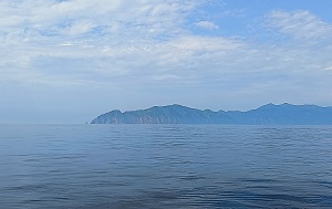 Андрей Масалович