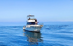 Андрей Масалович