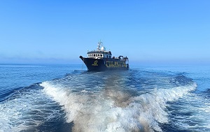 Андрей Масалович