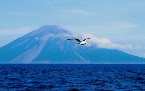 Андрей Масалович идем на Сахалин август 2025