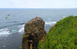 Андрей Масалович Сахалин август 2025