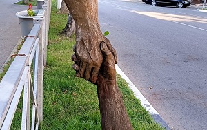 Андрей Масалович