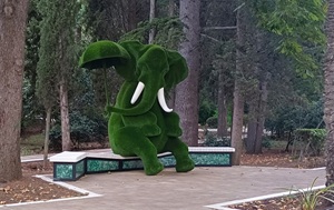 Андрей Масалович