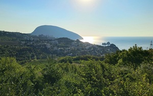 Андрей Масалович