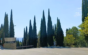 Андрей Масалович