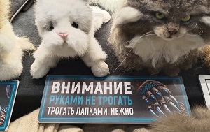 Андрей Масалович