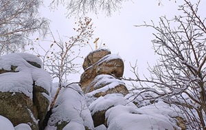 Андрей Масалович