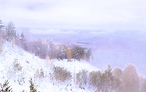 Андрей Масалович