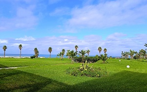 Андрей Масалович