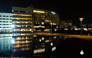 Андрей Масалович