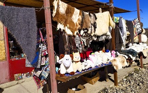 Андрей Масалович