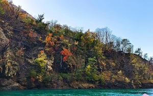 Андрей Масалович