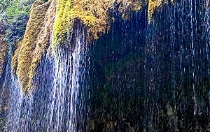 Андрей Масалович