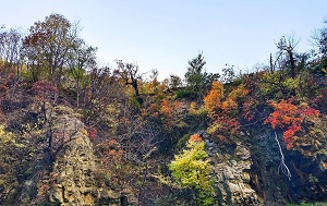 Андрей Масалович