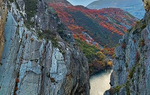 Андрей Масалович