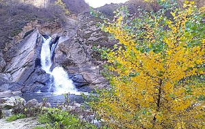 Андрей Масалович