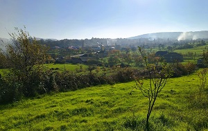 Андрей Масалович