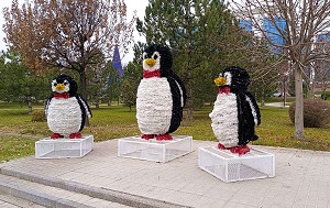 Андрей Масалович