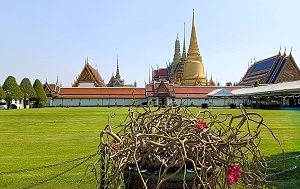 Андрей Масалович