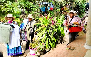 Андрей Масалович Камбоджа Сием Реап Январь 2026