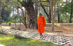 Андрей Масалович