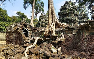 Андрей Масалович