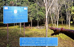 Андрей Масалович