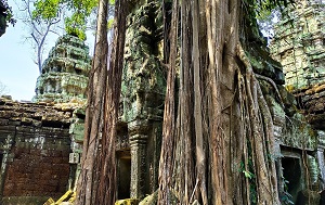 Андрей Масалович