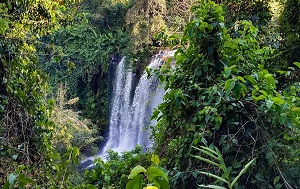 Андрей Масалович