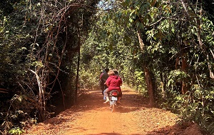 Андрей Масалович
