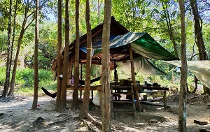 Андрей Масалович