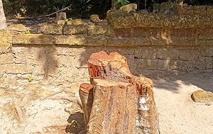 Андрей Масалович