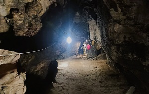 Андрей Масалович